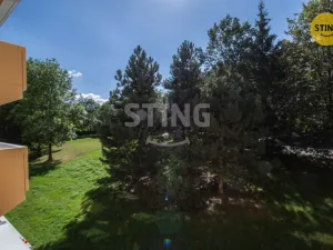 Pronájem bytu 1+1, Jihlava, Březinova, 33 m2