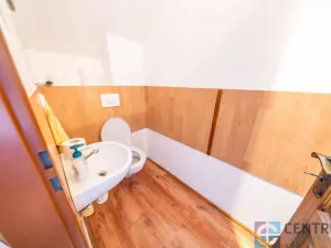 Prodej rodinného domu, Obrubce - Obora, 267 m2