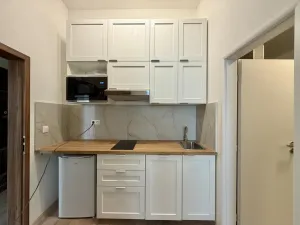 Pronájem bytu 1+kk, Praha - Nové Město, Kateřinská, 30 m2