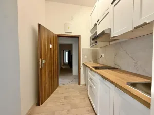 Pronájem bytu 1+kk, Praha - Nové Město, Kateřinská, 30 m2