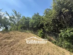 Prodej pozemku pro bydlení, Tavíkovice, 697 m2