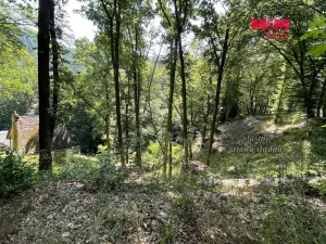 Prodej chaty, Branov, 22 m2