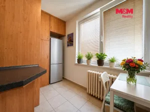 Prodej bytu 1+1, Ostrava - Výškovice, Lumírova, 40 m2