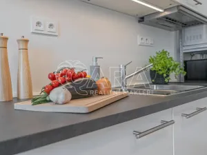 Pronájem bytu 1+kk, Praha - Holešovice, Jankovcova, 27 m2