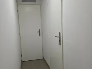 Prodej komerční nemovitosti, Brno, Fišova, 53 m2