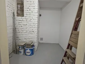 Prodej komerční nemovitosti, Brno, Fišova, 53 m2