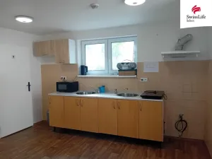 Pronájem ubytování, Dobrovice - Holé Vrchy, 499 m2