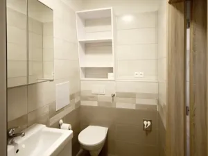 Pronájem bytu 1+1, České Budějovice - České Budějovice 7, Heydukova, 37 m2