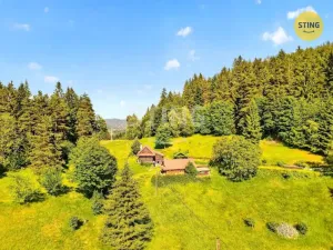 Prodej historického objektu, Hutisko-Solanec - Solanec pod Soláněm, 2989 m2