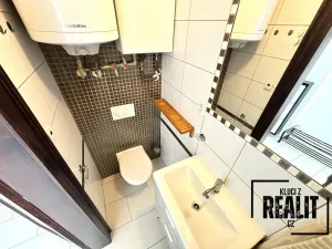 Pronájem bytu 1+kk, Praha - Žižkov, Seifertova, 34 m2