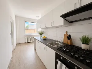 Pronájem bytu 3+1, Litvínov, Rooseveltova, 63 m2