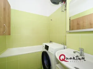 Pronájem bytu 1+1, Praha - Vinohrady, Fričova, 46 m2