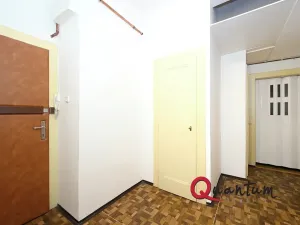 Pronájem bytu 1+1, Praha - Vinohrady, Fričova, 46 m2