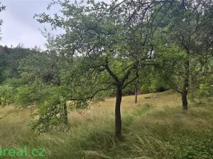 Prodej rodinného domu, Šošůvka, 130 m2