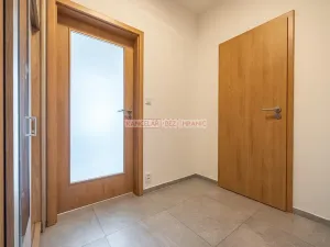 Prodej bytu 1+kk, Brandýs nad Labem-Stará Boleslav, Táhlá, 40 m2
