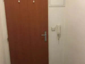 Pronájem bytu 1+kk, Praha - Vysočany, Freyova, 19 m2