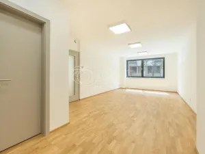 Prodej bytu 3+kk, Praha - Žižkov, Budovcova, 96 m2
