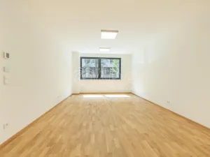 Prodej bytu 3+kk, Praha - Žižkov, Budovcova, 96 m2