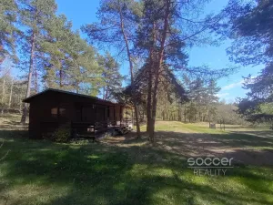 Prodej lesa, Slabčice, 6225 m2