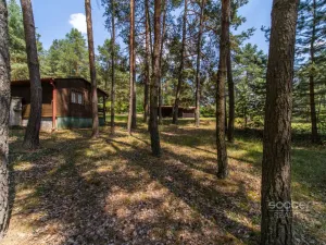 Prodej lesa, Slabčice, 6225 m2