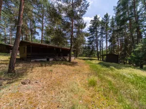 Prodej lesa, Slabčice, 6225 m2