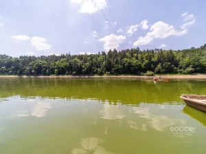 Prodej lesa, Slabčice, 6225 m2