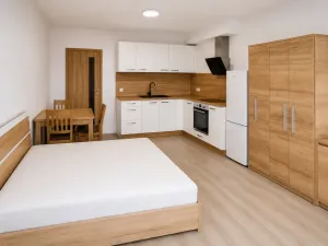 Pronájem bytu 1+kk, Olomouc, Edmunda Husserla, 29 m2