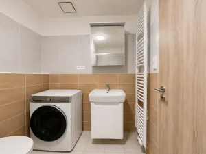 Pronájem bytu 1+kk, Olomouc, Edmunda Husserla, 29 m2