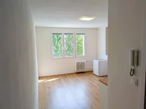 Pronájem bytu 1+kk, Sokolov, Mánesova, 19 m2