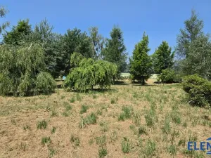 Prodej pozemku pro bydlení, Lipová-lázně, 5360 m2