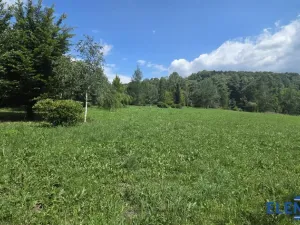 Prodej pozemku pro bydlení, Lipová-lázně, 5360 m2