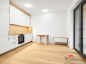 Pronájem bytu 1+kk, Brno - Zábrdovice, Bratislavská, 44 m2