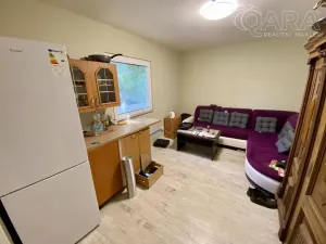 Pronájem výrobních prostor, Vyškov - Vyškov-Město, Brněnská, 110 m2