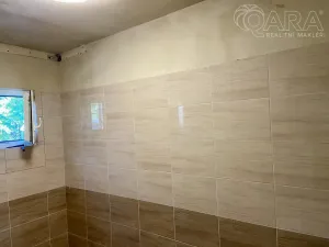 Pronájem výrobních prostor, Vyškov - Vyškov-Město, Brněnská, 110 m2