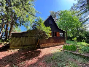 Prodej chaty, Borová, 53 m2
