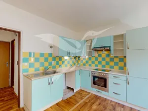Pronájem bytu 1+1, Horní Bříza, Na Kaolince, 38 m2