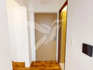 Pronájem bytu 1+1, Horní Bříza, Na Kaolince, 38 m2