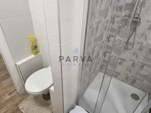Pronájem bytu 1+1, Plzeň - Doubravka, Staniční, 41 m2