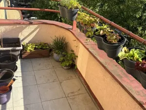 Pronájem bytu 1+1, Praha - Bubeneč, Terronská, 55 m2