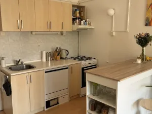 Pronájem bytu 1+1, Praha - Bubeneč, Terronská, 55 m2