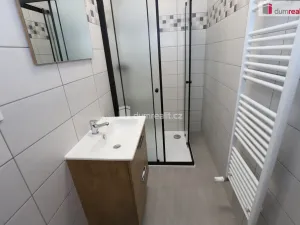 Pronájem bytu 2+1, Přimda - Újezd pod Přimdou, 41 m2