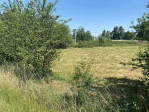 Prodej zemědělské usedlosti, Jílovice - Lipnice, 410 m2