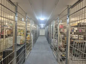 Pronájem bytu 2+kk, České Budějovice, Nová, 47 m2