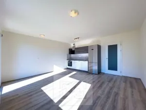 Pronájem bytu 1+kk, Praha - Čimice, Hrašeho, 46 m2