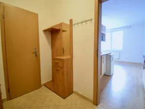 Pronájem bytu 1+kk, Brno - Medlánky, Hrázka, 38 m2