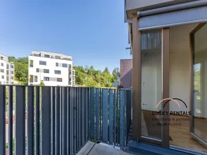 Pronájem bytu 3+kk, Praha - Žižkov, Olgy Havlové, 76 m2