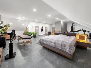 Prodej rodinného domu, Mělnické Vtelno - Radouň, Mělnická, 221 m2
