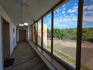 Pronájem bytu 1+kk, Slaný, Lázeňská, 37 m2