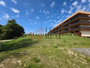 Pronájem bytu 1+kk, Slaný, Lázeňská, 37 m2