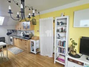 Prodej bytu 1+1, Chyšky, 77 m2